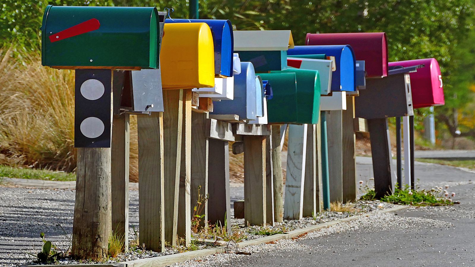 Eine Reihe bunter Briefkästen auf Holzpfosten am Rand einer Landstraße, im Hintergrund Gräser und Bäume.